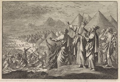 çölde bıldırcın by Jan Luyken