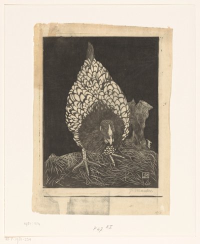 gümüş wyandotte by Jan Mankes (signed by artist)