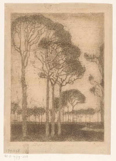 Oranjewoud'un kenarındaki ağaçlar by Jan Mankes