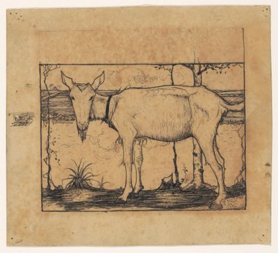 Hendek tarafında keçi by Jan Mankes