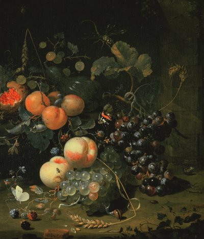 Meyve ve Çiçeklerle Natürmort by Jan Mortel