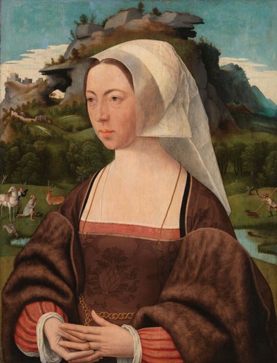 Meçhul Bir Kadının Portresi, c.1525 (panelde yağlı boya) by Jan Mostaert