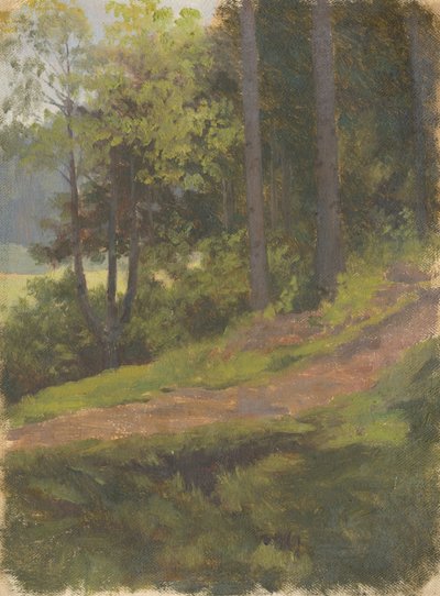 Ormanın Kenarındaki Yol by Jan Nowopacký