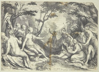 Diana ve Callisto by Jan Saenredam
