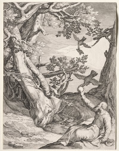 Elijah Vahşi Doğada Beslenen Kuzgunlar by Jan Saenredam