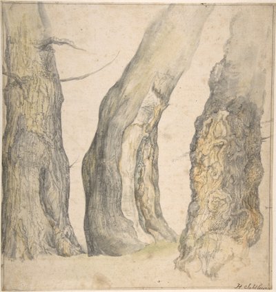 Üç Yaşlı Boğumlu Ağacın İncelenmesi, 1660. by Jan Siberechts