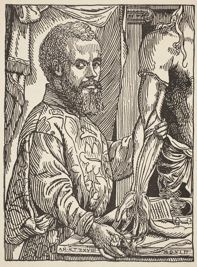 Andre Vesale, Boris Mestchersky