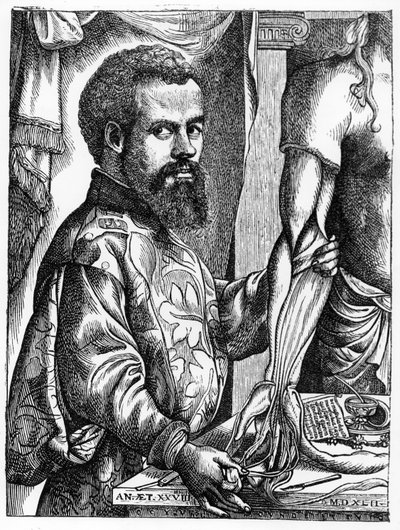 ಆಂಡ್ರಿಯಾಸ್ ವೆಸಾಲಿಯಸ್ (1514-64) ಅವರ ಪುಸ್ತಕ 