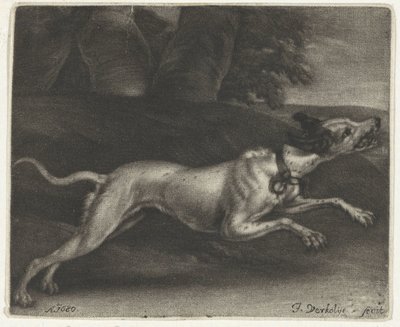 koşan köpek by Jan Verkolje (I)