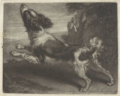 Koşan köpek, muhtemelen bir İspanyol by Jan Verkolje (I)