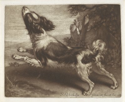 Koşan köpek, muhtemelen bir İspanyol by Jan Verkolje (I)