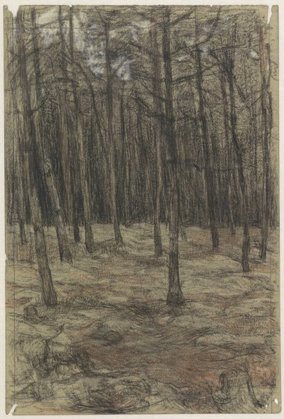 orman manzarası by Jan Veth