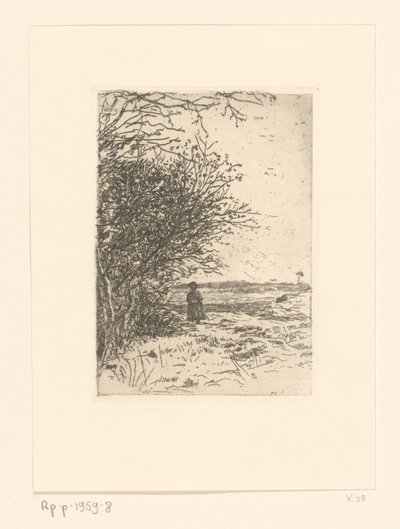 Kadın bir manzara fundalıktaki kadın (orijinal başlık) by Jan Veth