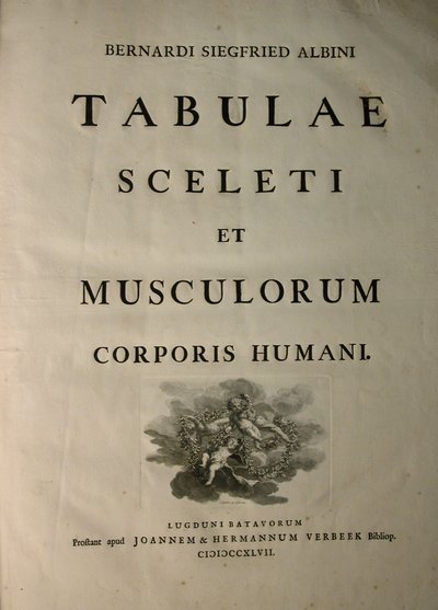 Albinus I, Başlık Sayfası, 'İnsan vücudunun iskelet kasları ve kasları', Bernhard Siegfried Albinus (1697-1770), J.undH. Verbeek, bibliop., Leiden, 1747 by Jan Wandelaar