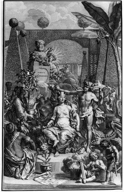 Charles Linne (Carl von Linne, Linneus 1707 - 1778), İsveçli doğa bilimci tarafından “Hortus Cliffortianus” un cephesi. 1737. Jan Wandelaar (1690-1759) tarafından yapılan gravür. Özel koleksiyon. by Jan Wandelaar