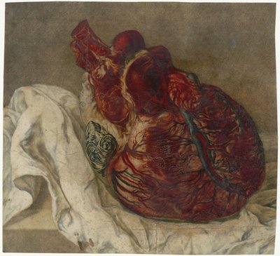 Beyin ve Kalp İzleri Bir insan kalbinin anatomik çalışması by Jan l