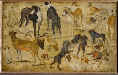 Tierstudien by Jan the Elder Brueghel