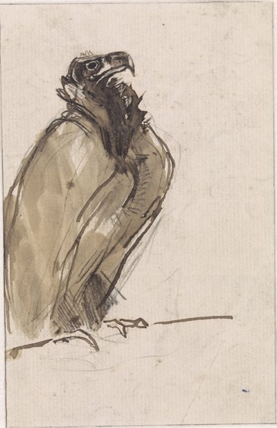 Bir dal üzerinde oturan akbaba by Jan van Essen