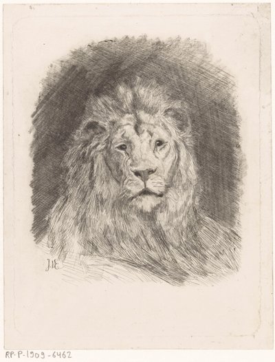 Aslan başı by Jan van Essen
