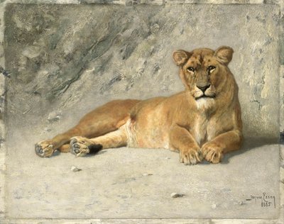 dişi aslan dinlenme by Jan van Essen