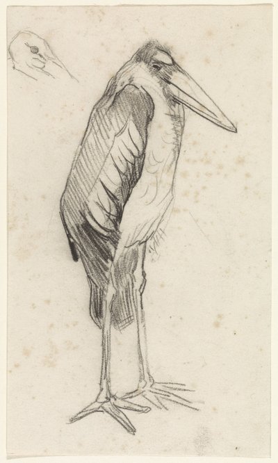 Marabu by Jan van Essen