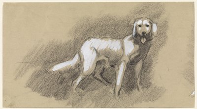 ayakta köpek by Jan van Essen