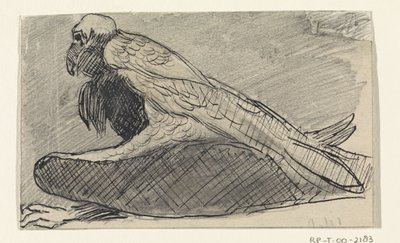 oturan akbaba by Jan van Essen