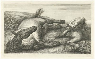 Önden görülen iki düşmüş at, soldaki Ölü Atlar (dizi adı) by Jan van Huchtenburg