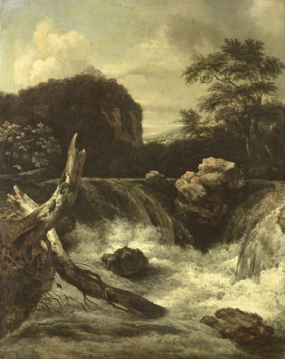 Bir Şelale by Jan van Kessel
