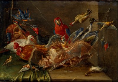 Kuşlar ve İki Yarasa ile Dekoratif Natürmort Kompozisyon, 17. yüzyılın ortaları by Jan van Kessel