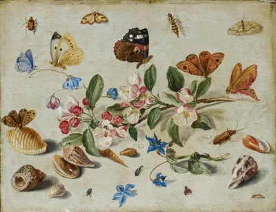 Çiçekler ve Böcekler, 1650