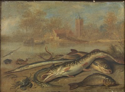  by Jan van Kessel the Elder