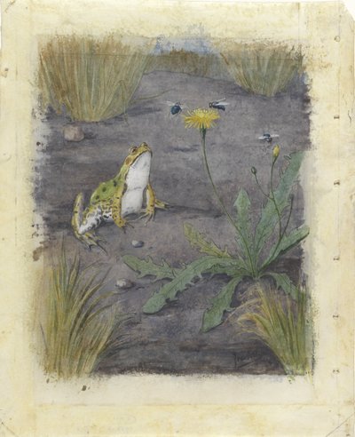 Karahindiba ile Sinekli Kurbağa by Jan van Oort