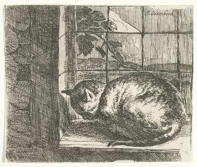 Pencere çerçevesindeki kedi by Jan van Ossenbeeck