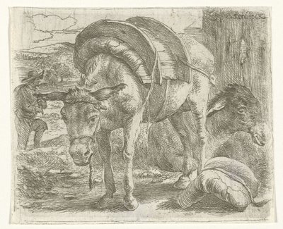 paket by Jan van Ossenbeeck
