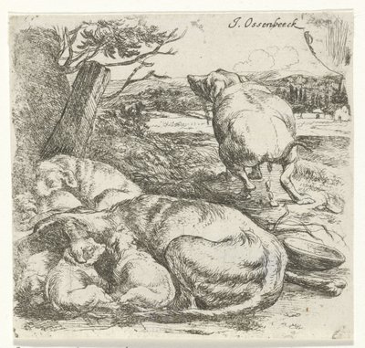 köpek yavrusu ile kaltak by Jan van Ossenbeeck
