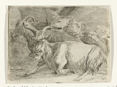 İki keçi ve iki koyun by Jan van Ossenbeeck
