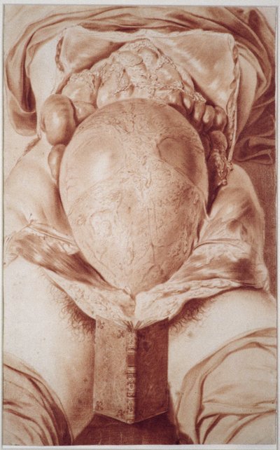 MS Hunter 658 Plaka XXVI William Hunter'ın (1718-83) 'Anatomi of the Human Gravid Uterus' adlı eserinden çizim, 1774 (kağıt üzerinde tebeşir) by Jan van Rymsdyk