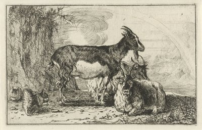 keçiler Hayvanlar (dizi adı) Zoographiam (dizi adı) by Jan van den Hecke