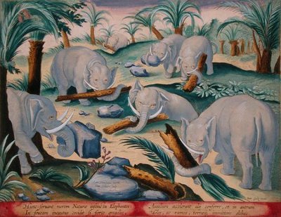 Bir Fil Sürüsü İçgüdüsel Olarak Çukur Tuzağı İnşa Eder, Jan Collaert (1566-1628) tarafından oyulmuş 