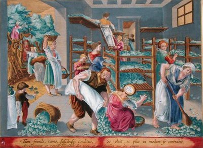 İpekböcekleri için Rafları Dut Yapraklarıyla Astarlayan Kadın, Philip Galle (1537-1612) tarafından oyulmuş 