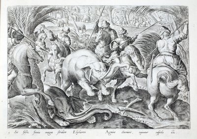Jan Collaert (1566-1628) tarafından oyulmuş 'Venationes, Ferarum, Avium, Piscium'dan (Avlanma: Yabani Canavarlar, Kuşlar, Balık) bir örnek, filler, avcıların mızraklarıyla vurulduklarında büyük bir gürültü çıkarırlar. Philipus Gallaeus, Amsterdam ( by Jan van der (1523 1605) Straet