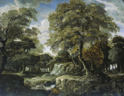 Ormanda Görüntüle by Jan van der Heyden