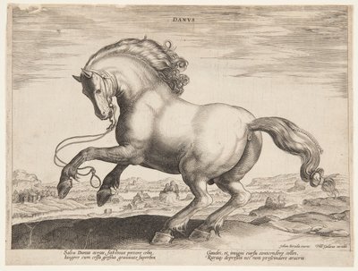 "Equile Joannis Austriaci"nin dördüncü setinden bir Danimarka Atı by Jan van der Straet, called Stradanus