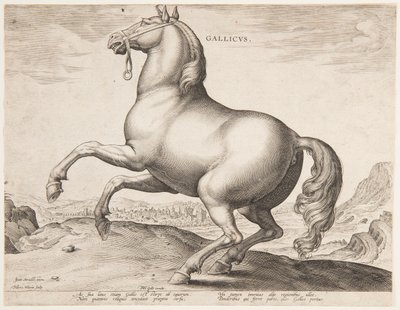 "Equile Joannis Austriaci"nin ilk setinden bir Fransız Atı by Jan van der Straet, called Stradanus