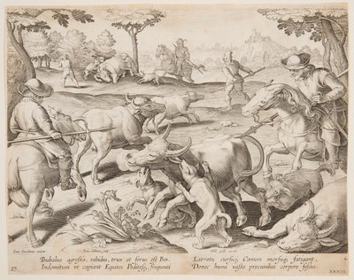 Bufalo Avı, Vahşi, Kuşlar, Balık serisinde 27 numaralı plaka by Jan van der Straet, called Stradanus