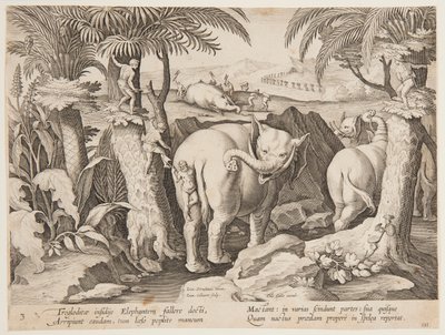 Filleri Kovalayan Mağara Adamları, Wildcats, Birds, Fish serisinden 3. plaka by Jan van der Straet, called Stradanus