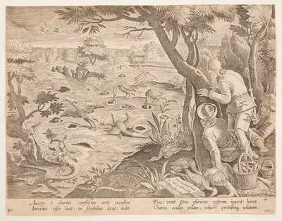 Koniler kullanarak Turna Avı, Wildcats, Birds, Fish serisinde 28 numaralı plaka by Jan van der Straet, called Stradanus