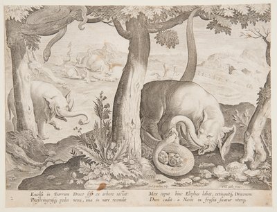 Filler ve Yılanlar arasındaki mücadele, Wildcats, Birds, Fish serisinden 2. plaka by Jan van der Straet, called Stradanus