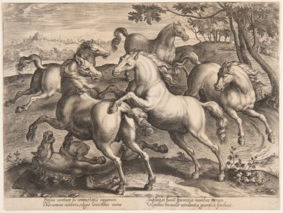 Dövüş Atları, "Equile Joannis Austriaci"nin dördüncü setinden by Jan van der Straet, called Stradanus